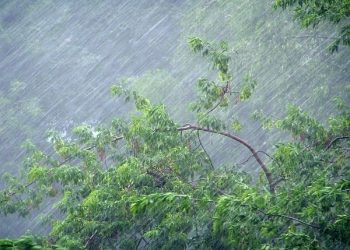 Рязанцев предупредили о ливнях и грозах 17 июля