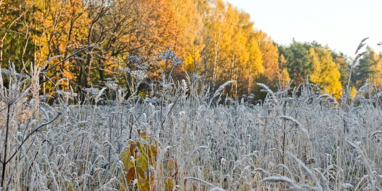 Рязанцев предупредили о резком понижении температуры 16 ноября Рязанцев предупредили о резком понижении температуры 16 ноября