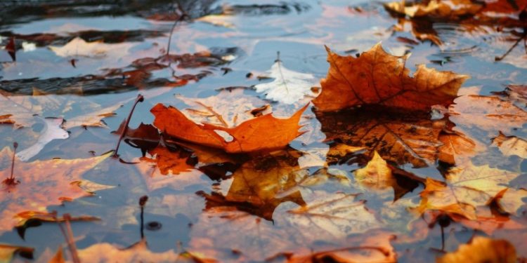 Рязанцев предупредили о сильном дожде вечером 12 ноября