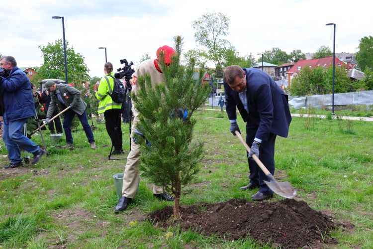 На территории рязанского Лыбедского бульвара высадили "Сад памяти"
