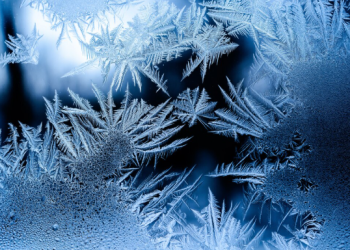 В ночь на 23 декабря в Рязанской области похолодает до -14 градусов