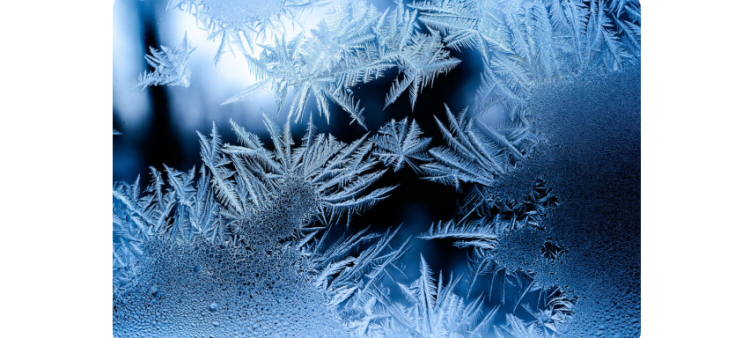 В ночь на 23 декабря в Рязанской области похолодает до -14 градусов