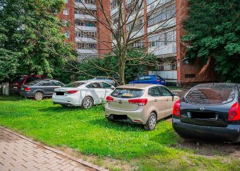 С начала 2024 года в Рязани оштрафовали 1381 водителя за парковку на газоне