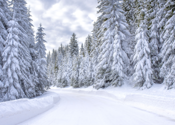 Вильфанд: долгосрочные достоверные прогнозы станут доступны только в начале следующего десятилетия Вильфанд: долгосрочные достоверные прогнозы станут доступны только в начале следующего десятилетия