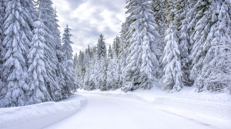 Вильфанд: долгосрочные достоверные прогнозы станут доступны только в начале следующего десятилетия