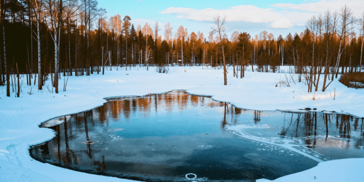 В ночь на среду в Рязанской области похолодает до -6 градусов В ночь на среду в Рязанской области похолодает до -6 градусов