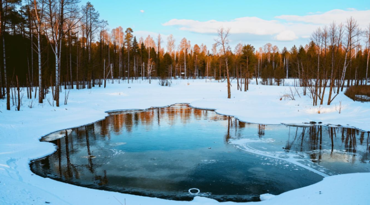 В ночь на среду в Рязанской области похолодает до -6 градусов