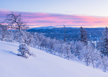 Метеоролог Позднякова пообещала россиянам теплый январь