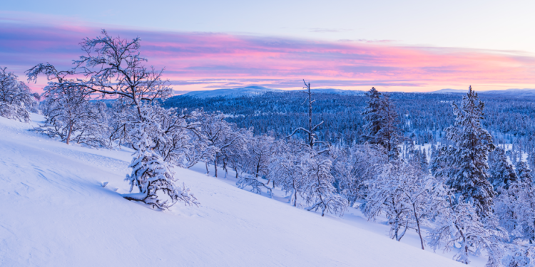 Метеоролог Позднякова пообещала россиянам теплый январь