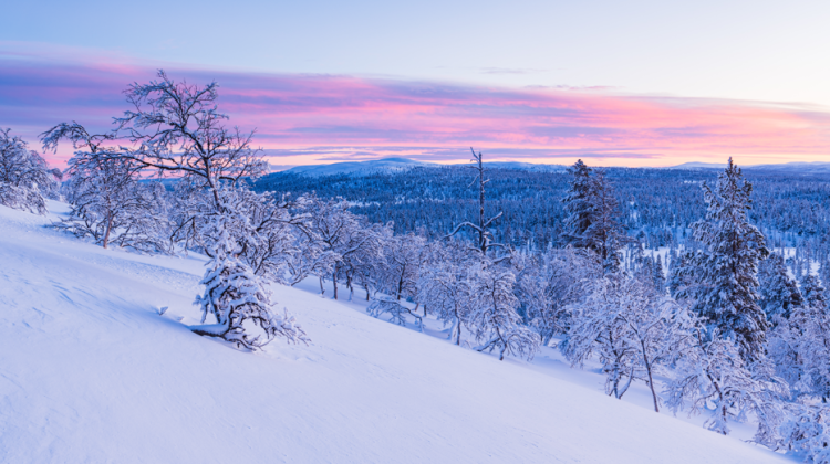 Метеоролог Позднякова пообещала россиянам теплый январь