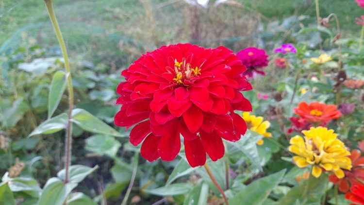 Вильфанд назвал погоду в первой половине сентября в Центральной России крайне необычной