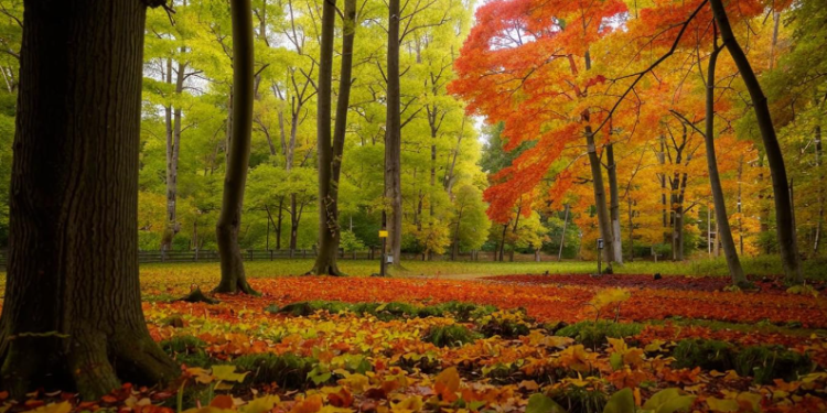 Метеоролог Вильфанд: сентябрь может стать четвертым летним месяцем