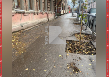 Рязанцы пожаловались на вырубку деревьев на улице Горького