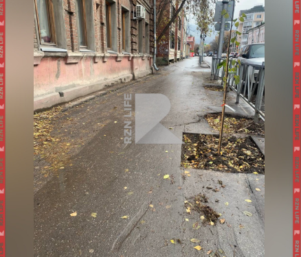 Рязанцы пожаловались на вырубку деревьев на улице Горького Рязанцы пожаловались на вырубку деревьев на улице Горького