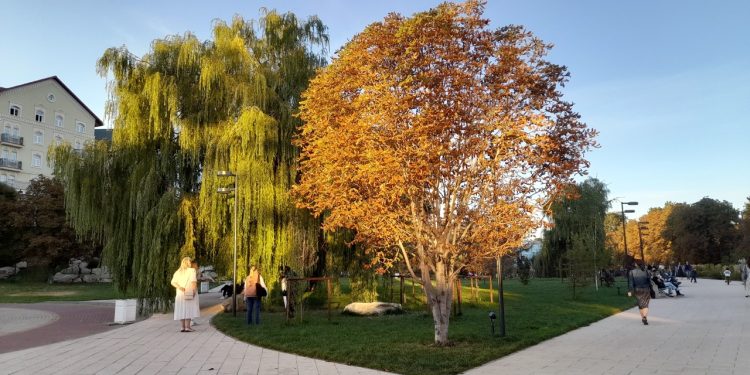 В сентябре в Центральной России ожидается до 12 дождливых дней