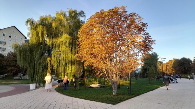 В сентябре в Центральной России ожидается до 12 дождливых дней