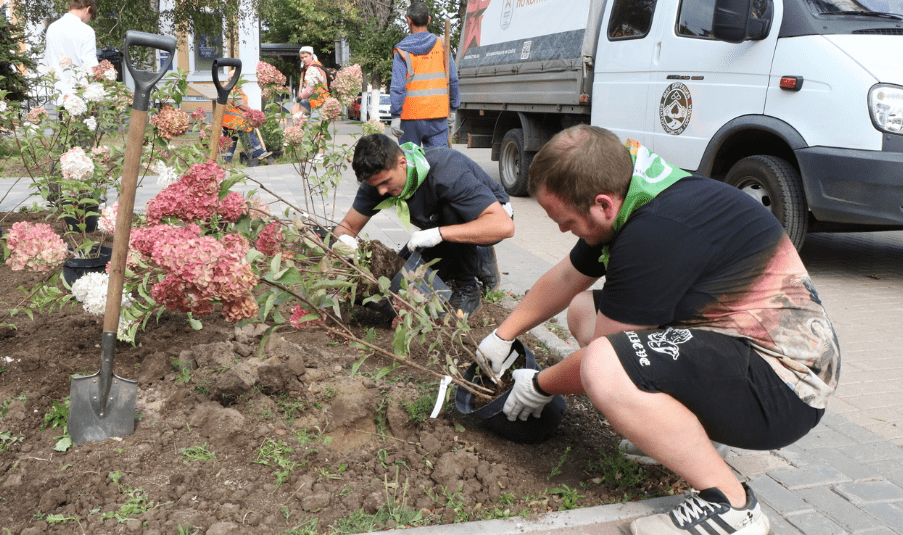 В рязанском Педагогическом сквере высадили деревья и кустарники