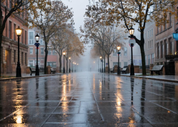 В пятницу в Рязанской области ожидается небольшой дождь и до +9 градусов