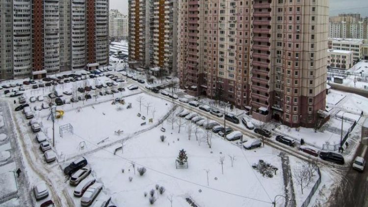 С начала года за парковку в зеленой зоне оштрафовали 3936 водителей-нарушителей