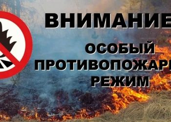 В Рязани с 20 сентября установят особый противопожарный режим В Рязани с 20 сентября установят особый противопожарный режим