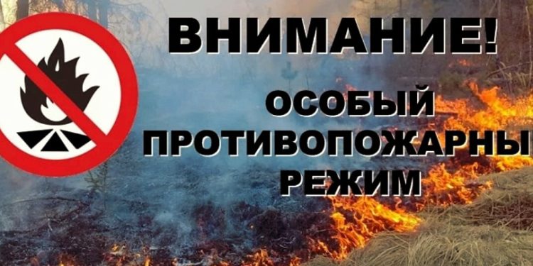 В Рязани с 20 сентября установят особый противопожарный режим В Рязани с 20 сентября установят особый противопожарный режим