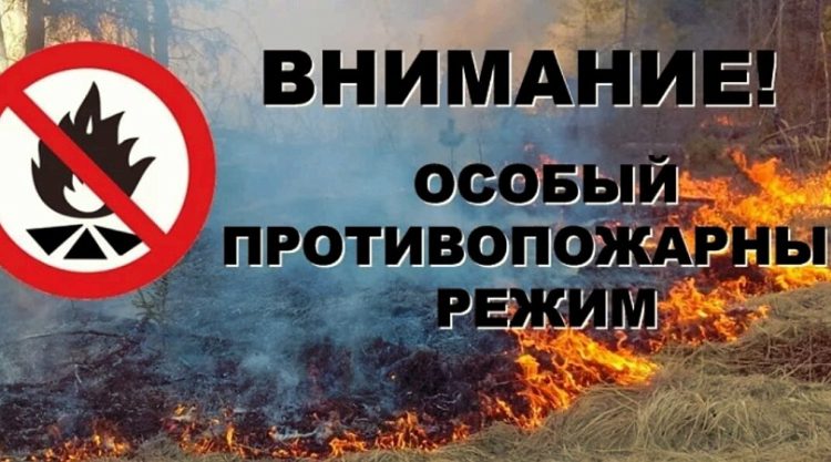 В Рязани с 20 сентября установят особый противопожарный режим