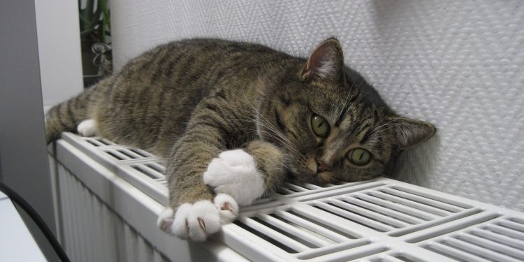 В 2024 году плата за отопление в Рязани может возрасти еще на 8,9%