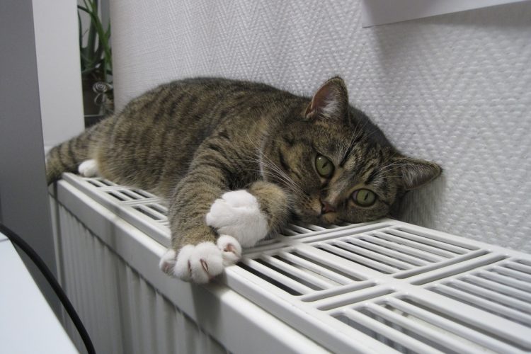 В 2024 году плата за отопление в Рязани может возрасти еще на 8,9%