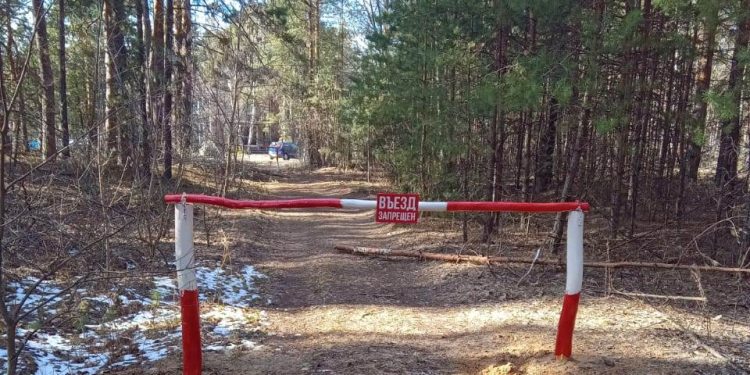 В рязанской Солотче обустроили минерализованные полосы и противопожарные разрывы