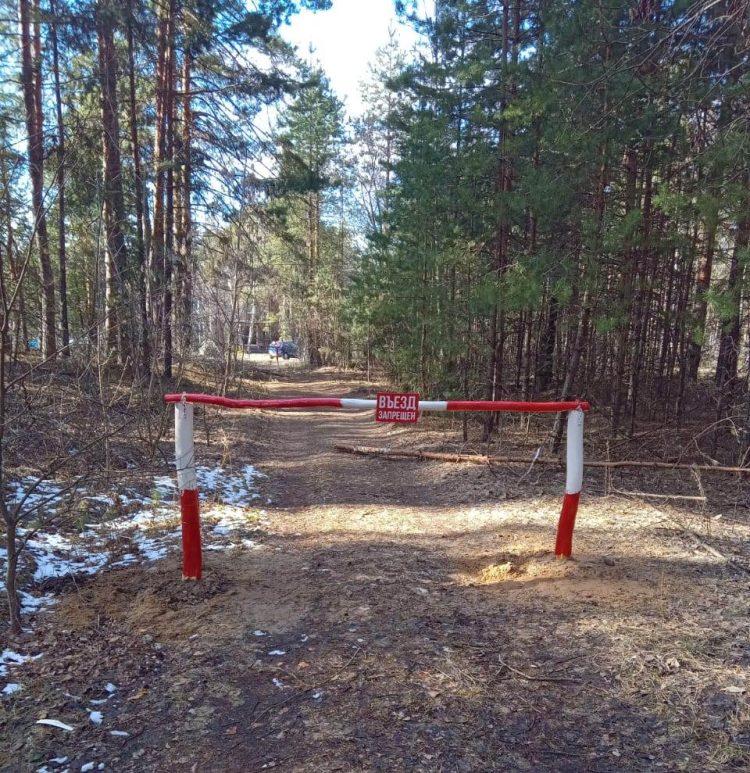 В рязанской Солотче обустроили минерализованные полосы и противопожарные разрывы