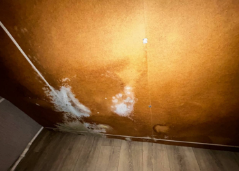 Рязанцы жалуются на появившуюся из-за отсутствия отопления в квартире плесень Рязанцы жалуются на появившуюся из-за отсутствия отопления в квартире плесень