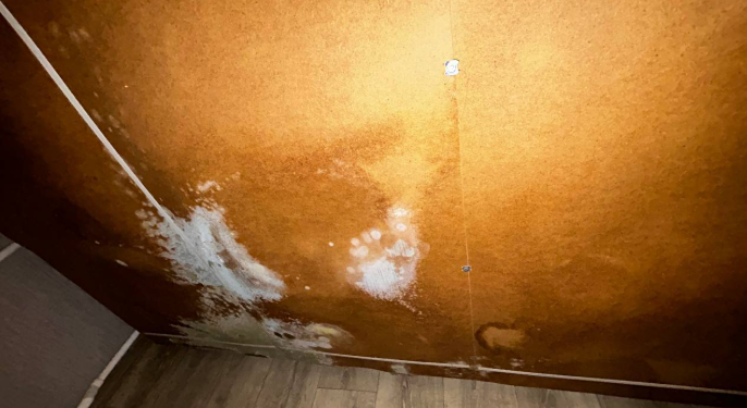 Рязанцы жалуются на появившуюся из-за отсутствия отопления в квартире плесень