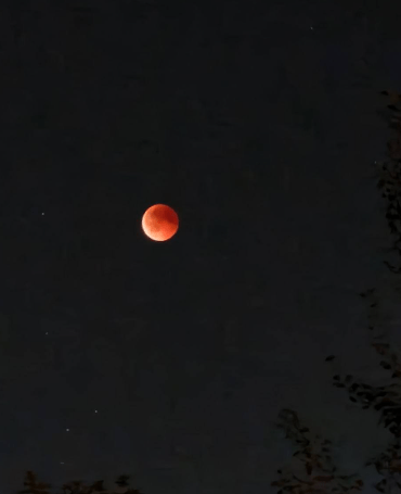 Рязанцы поделились фото "Кровавой Луны"