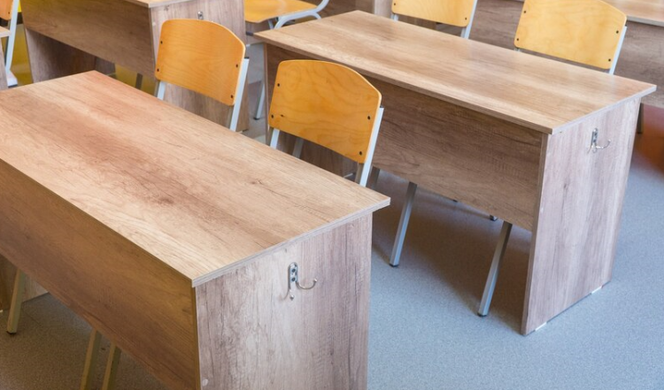 24 класса в 10 рязанских школах закрыли на карантин