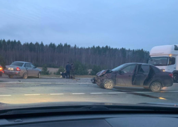 В Касимовском округе произошло смертельное ДТП