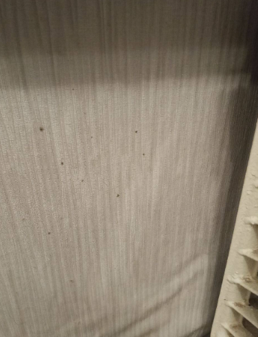 Рязанцы жалуются на появившуюся из-за отсутствия отопления в квартире плесень