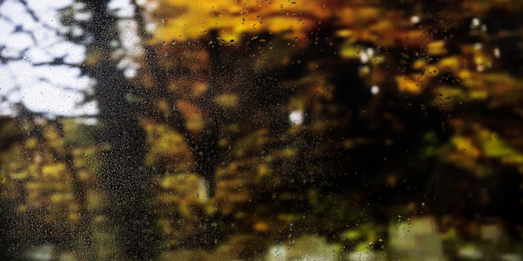 Синоптик Позднякова: в выходные в Центральной России ожидается похолодание