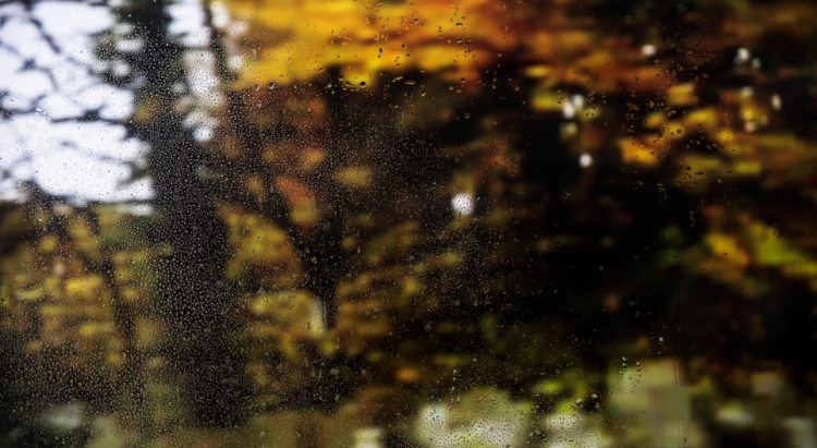 Синоптик Позднякова: в выходные в Центральной России ожидается похолодание