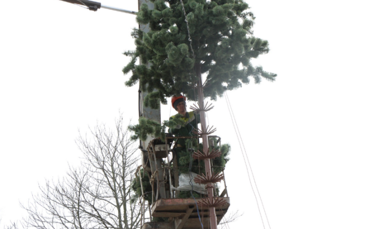 В Рязани установят 40 новогодних елей