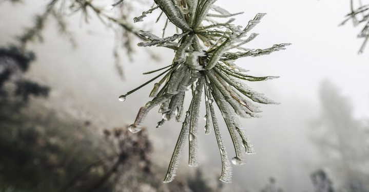 Метеоролог Шувалов: в феврале ожидается теплая погода с короткими волнами холода