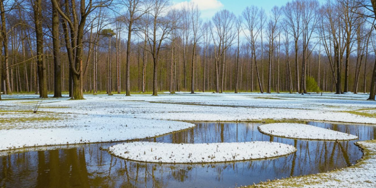 Синоптик Позднякова: метеорологическая весна придет в Россию в середине марта