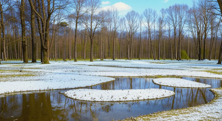 Синоптик Позднякова: метеорологическая весна придет в Россию в середине марта