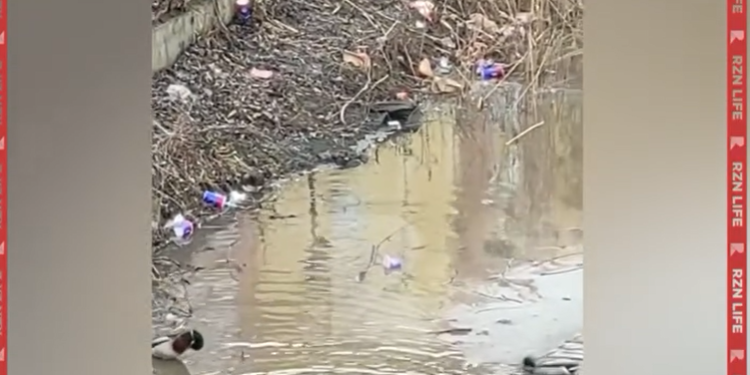 Рязанцы пожаловались на мусор в пруду на улице Новоселов