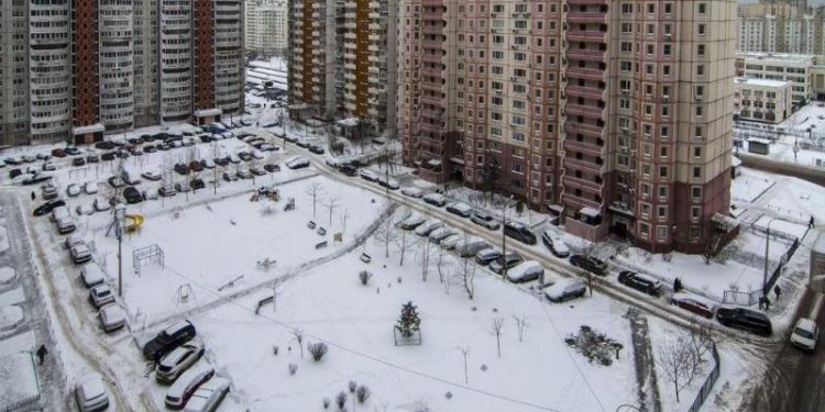 С начала 2024 года в Рязани оштрафовали 3701 водителя за парковку в зеленой зоне