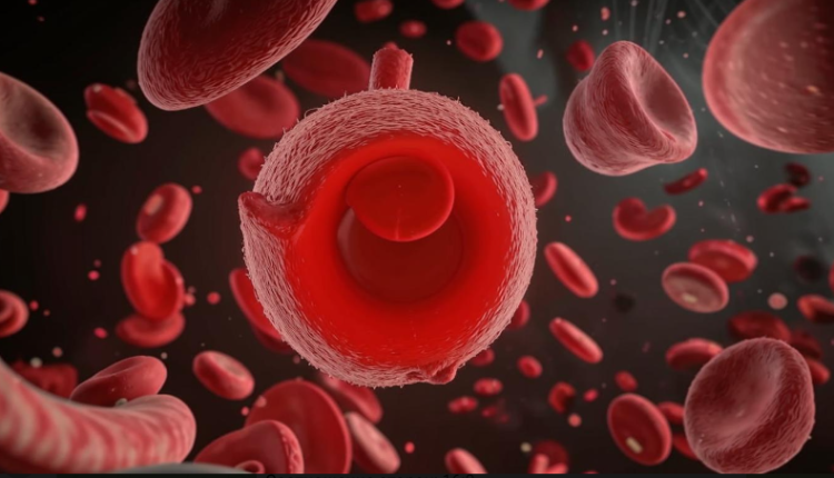 Флеболог Смирнова: внезапная одышка является первым признаком оторвавшегося тромба