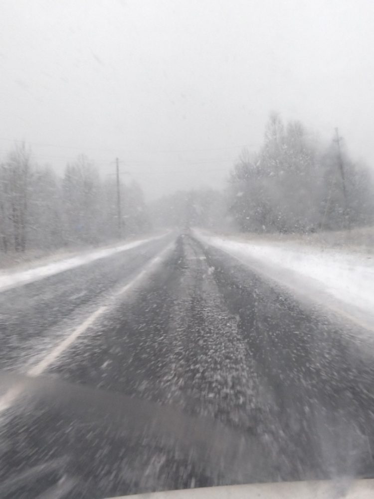 В Клепиковском районе засняли первый снег
