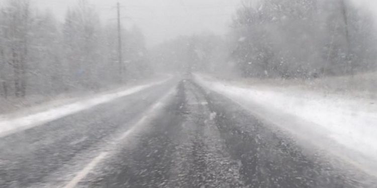 В Клепиковском районе засняли первый снег В Клепиковском районе засняли первый снег