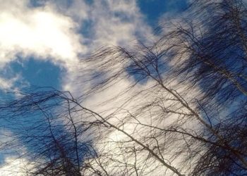 Рязанцев предупредили о порывах ветра 29 и 30 апреля