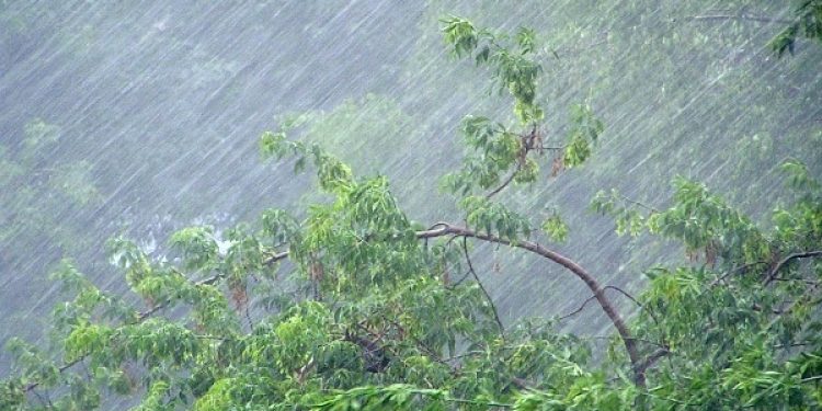 Рязанцев предупредили о грозах и усилении ветра 26 августа Рязанцев предупредили о грозах и усилении ветра 26 августа