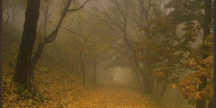 Рязанцев предупредили о сильном тумане 22 октября